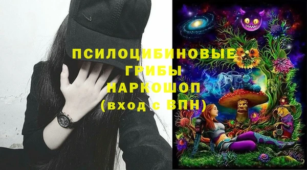 стаф Алексеевка
