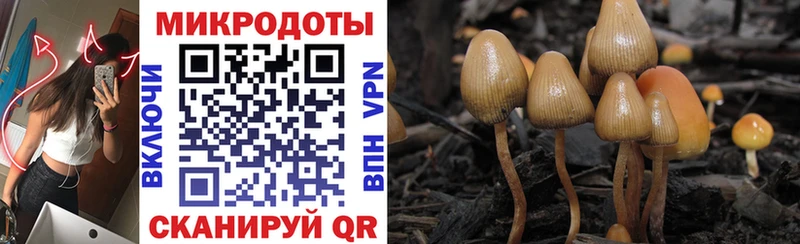 Галлюциногенные грибы MAGIC MUSHROOMS  дарнет шоп  ссылка на мегу как зайти  Волоколамск 